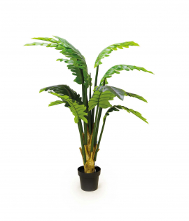 شجره فيلو 15ورقه 1.50 متر