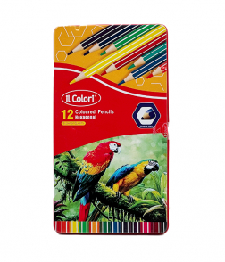 اي بي سي الوان خشبية 12 لون