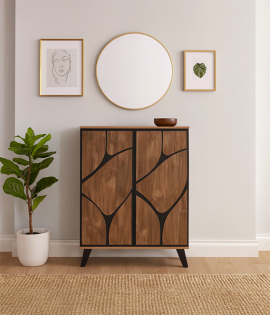 دولاب 2باب بني