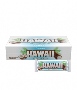 غندور هاواي بلاست جوز الهند علبة 25جم×24