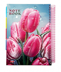 دفتر سلك بناتي غلاف مقوي 200 ورقة مع 5 فواصل 