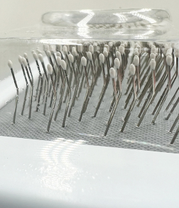 فرشاة العناية بالحيوانات الاليفة 