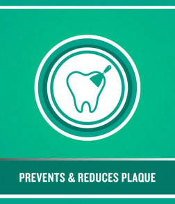 ليسترين فريش بورست غسول الفم 250 مل