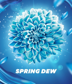 COMFORT FABRIC SOFTENER FOR SUPER SOFT CLOTHES SPRING DEW GIVES LONG-LASTING FRAGRANCE 2 L